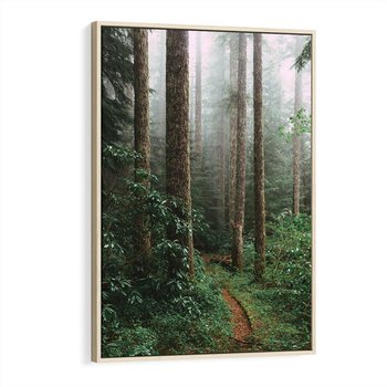 Obraz w ramie 50x70 - Mgliste Marzenia - artystyczna fotografia, las - rama drewno