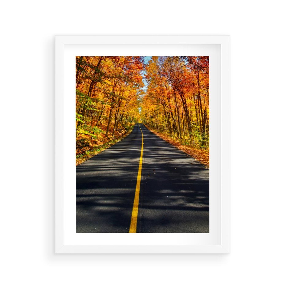 Plakat w ramie 40x50 - Droga przez jesienny las - droga, las - rama biała