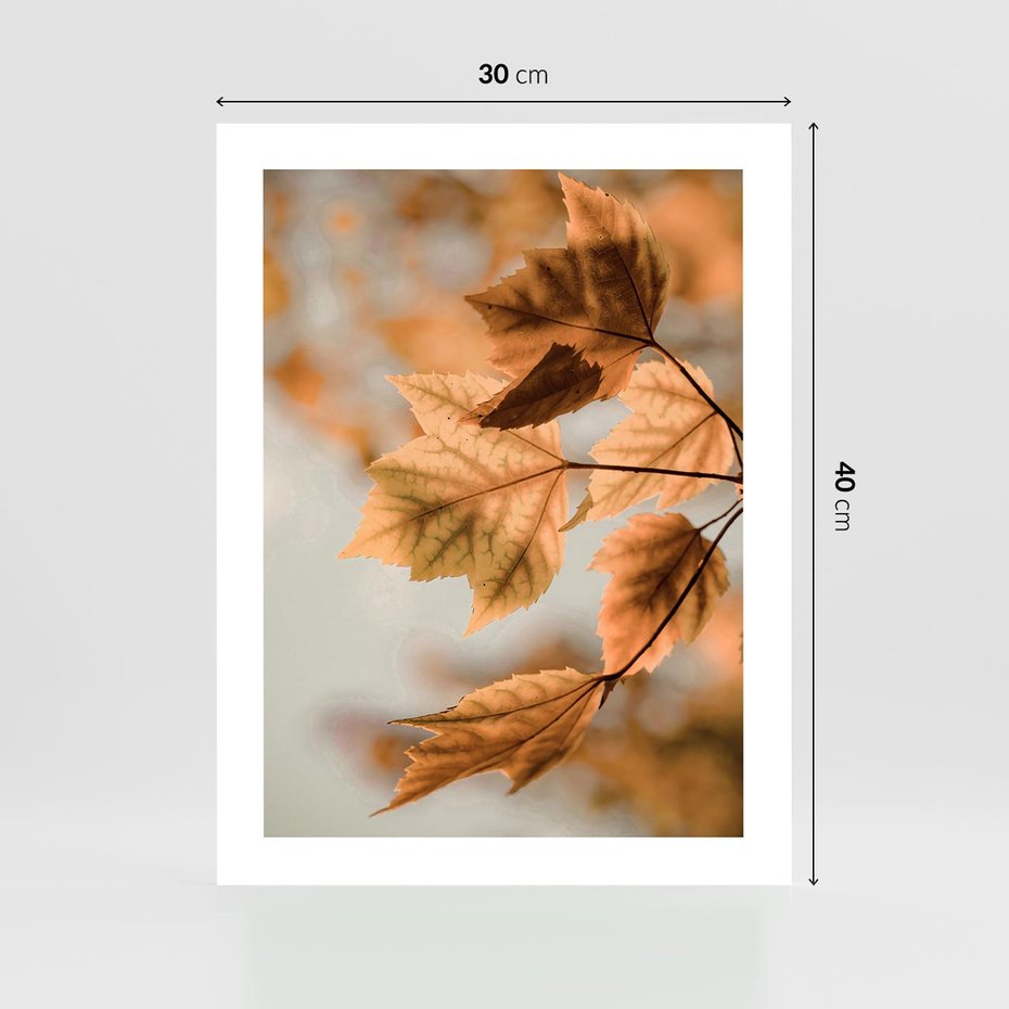 Plakat bez ramy 30x40 - Magia Jesieni - liście, jesień