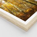 Plakat w ramie 50x70 - Jesienny Las - Kolorowa Paleta Natury - jesień, drzewa - rama drewno