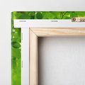 Obraz na płótnie 30x30 - Liście w Wodzie - liście, woda