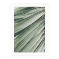 Plakat bez ramy 21x30 - Tropikalna Oaza - zielony liść palmy, zieleń