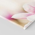 Obraz na płótnie 120x80 - Urok Magnolii - magnolie, kwiaty