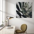 Obraz na płótnie 40x40 - Sukulenty wśród kaktusów - sukulenty, kaktusy
