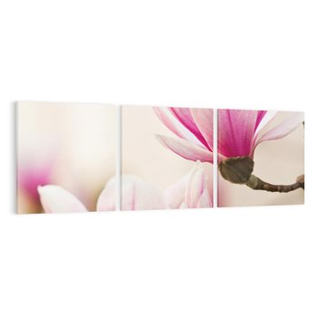 Obraz na płótnie 150x50 - Urok Magnolii - magnolie, kwiaty