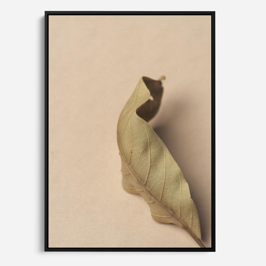 Obraz w ramie 70x100 - Boho suszone liście - suszony, liść - rama czarna