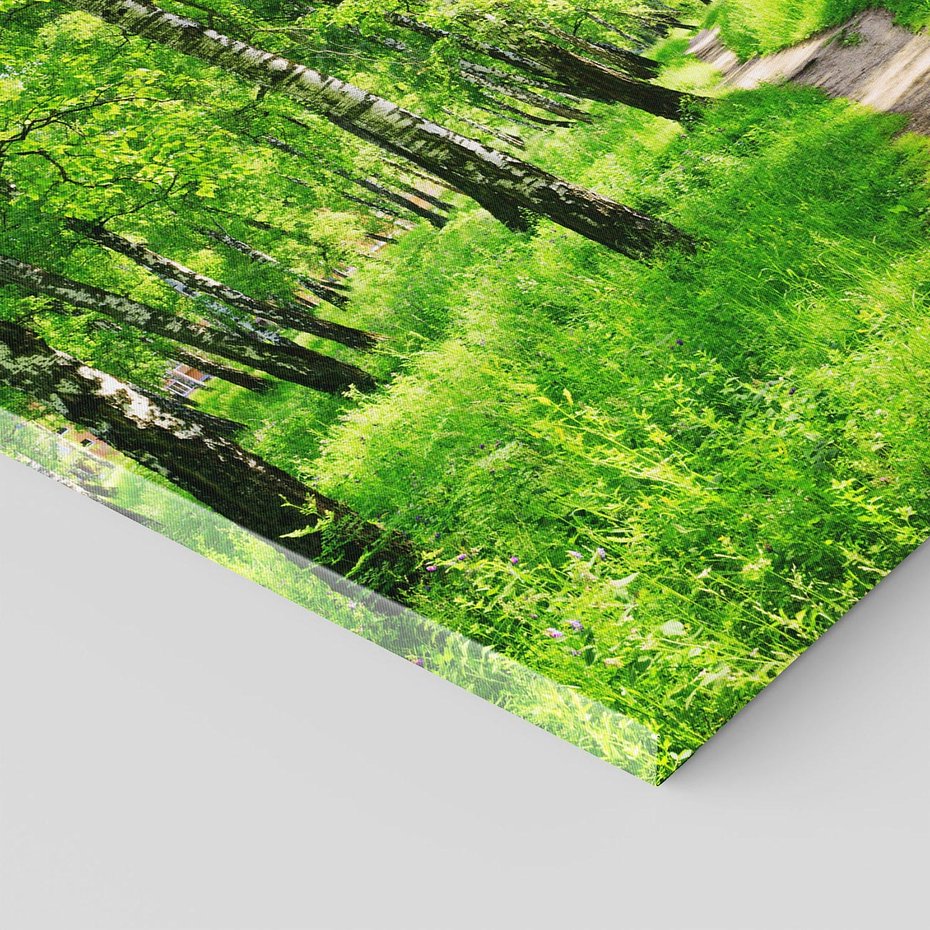 Obraz na płótnie 60x60 - odkryj piękno drzew - las, drzewa