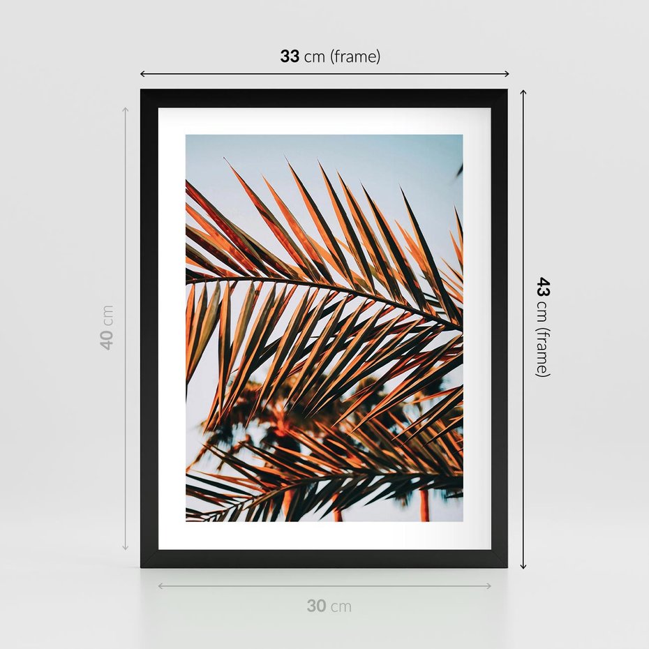 Plakat w ramie 30x40 - Tropikalna Harmonia - palma, liście palmy - rama czarna