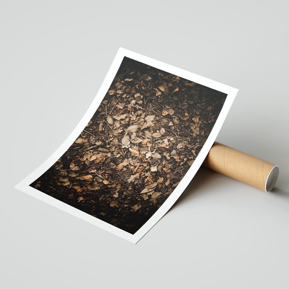 Plakat bez ramy 30x40 - Brązowe Liście w Scenerii - suche liście jesień brąz