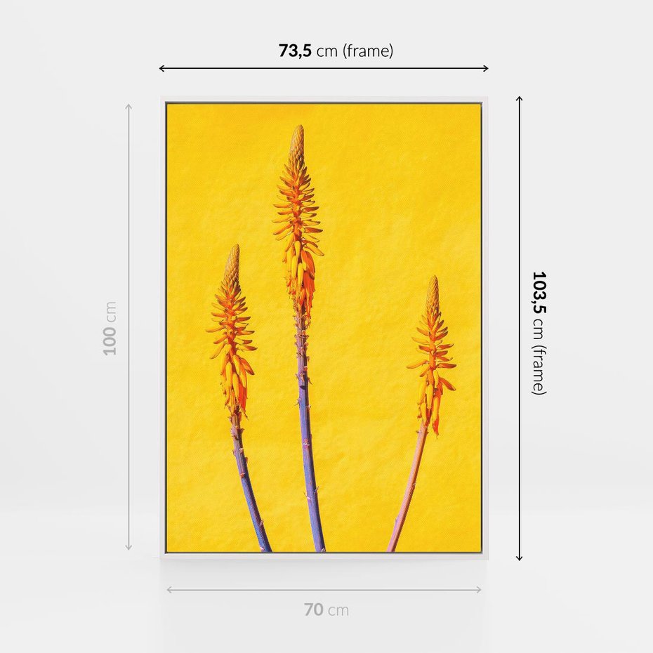 Obraz w ramie 70x100 - Radość Natury - kolor, kwiaty - rama biała