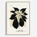 Obraz w ramie 50x70 - Melancholia przerywanych linii - wiaty, typografia - rama drewno