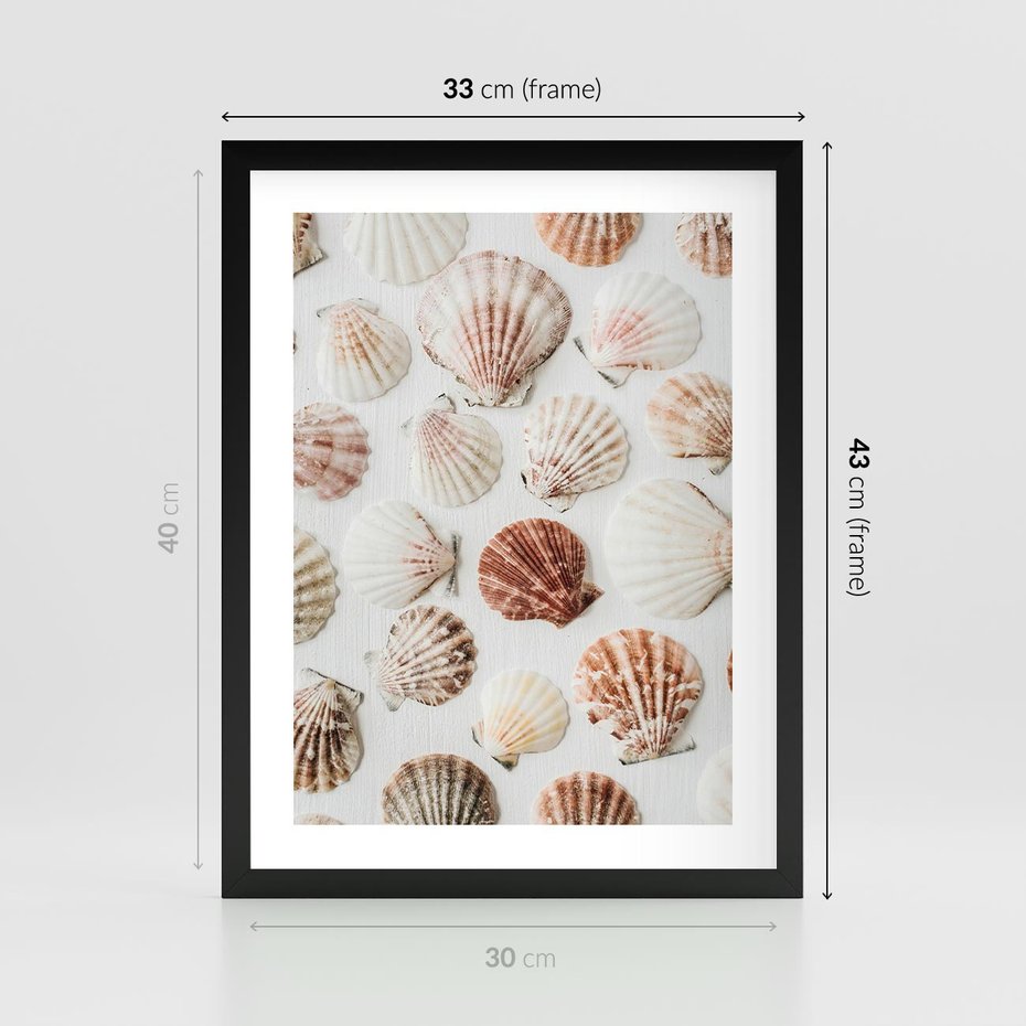 Plakat w ramie 30x40 - Morska Delikatność: Muszelki na Białym Tle - kompozycja, morskie muszelki na białym tle - rama czarna