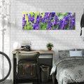 Obraz na płótnie 120x40 - Elegancka lawenda w pełnym rozkwicie - lawenda, kwiaty