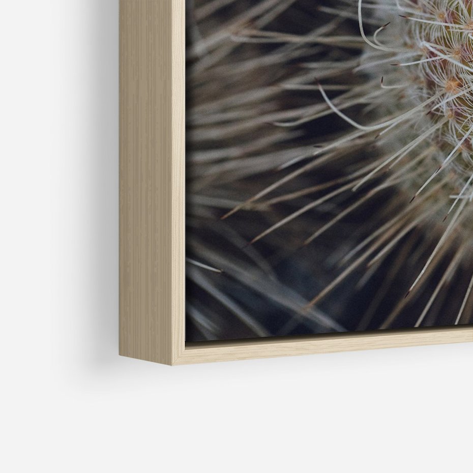 Obraz w ramie 50x70 - Ulotna Piękność Natury - makro, dmuchawce - rama drewno