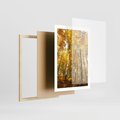 Plakat w ramie 50x70 - Jesienny Las - Kolorowa Paleta Natury - jesień, drzewa - rama drewno