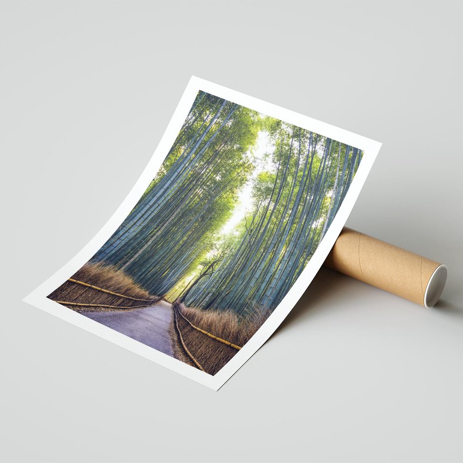 Plakat bez ramy 50x70 - Urokliwa dróżka w lesie - las, dróżka