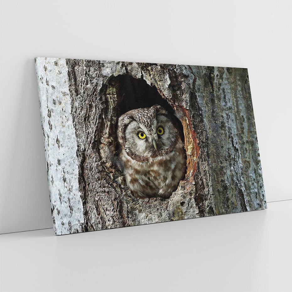 Obraz na płótnie 100x70 - Tajemniczy W świecie Nocy - sowa, dziupla
