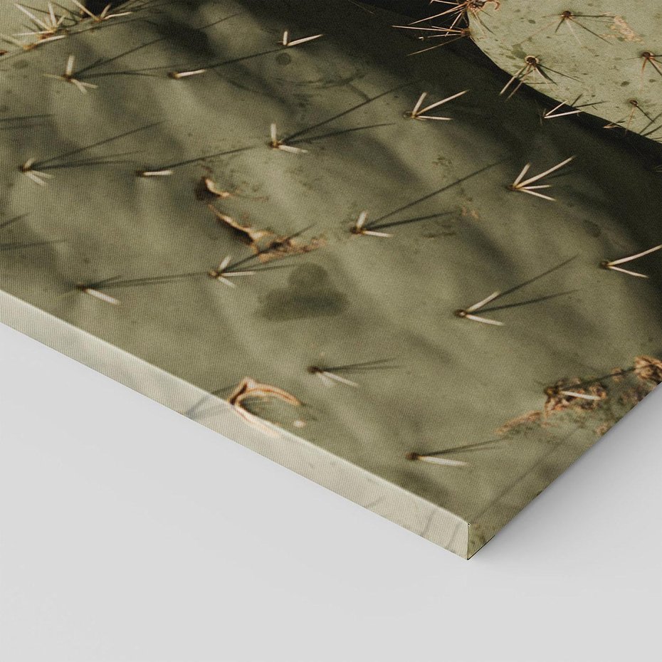 Obraz na płótnie 50x50 - Urok Egzotyki - kaktusy, boho