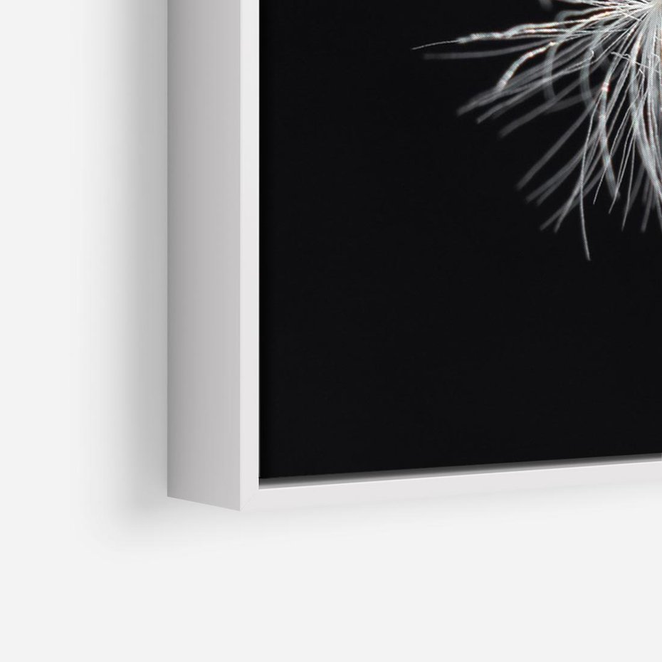 Obraz w ramie 100x70 - Delikatność Wiatru - dmuchawce, makro - rama biała