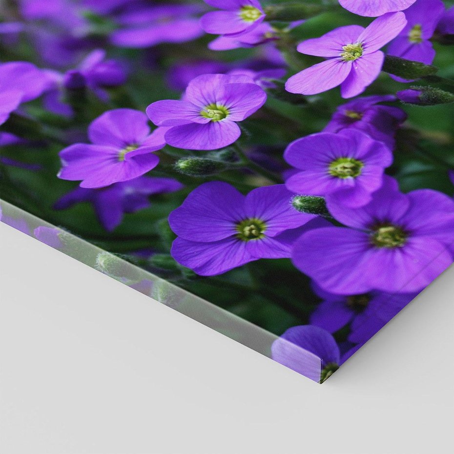 Obraz na płótnie 120x80 - Kwiatowe uniesienia magia natury - kwiat, kwiaty