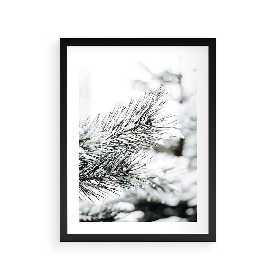 Plakat w ramie 30x40 - Chwila Zimowej Magii - iglasta gałązka, śnieg - rama czarna