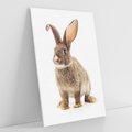 Obraz na płótnie 80x120 - Delikatna Zwierzęca Uroda - królik, zwierzę