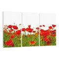 Obraz na płótnie 120x80 - Bujne maki na malowniczej łące - mak, maki