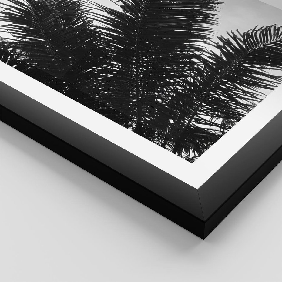 Plakat w ramie 30x40 - Czas Zapomnienia - palmy, czarno biała fotografia - rama czarna