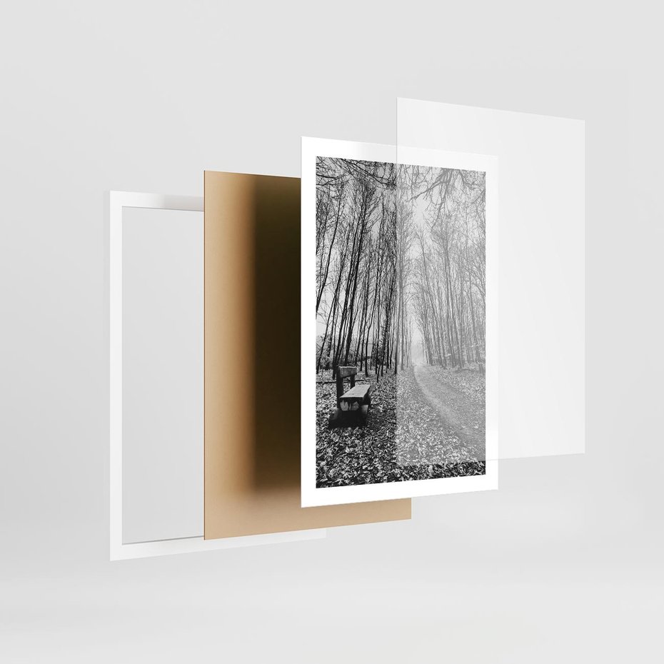 Plakat w ramie 50x70 - Spadające Liście - czarno białe zdjecie, park - rama biała