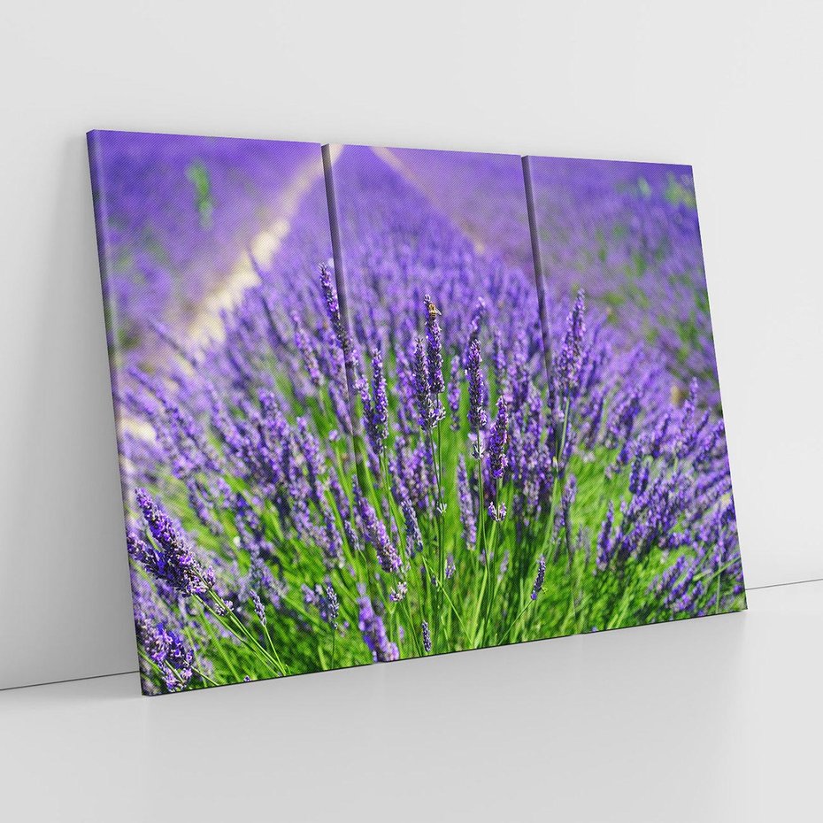 Obraz na płótnie 120x80 - Lawendowe pola piękno natury - lawenda, kwiaty