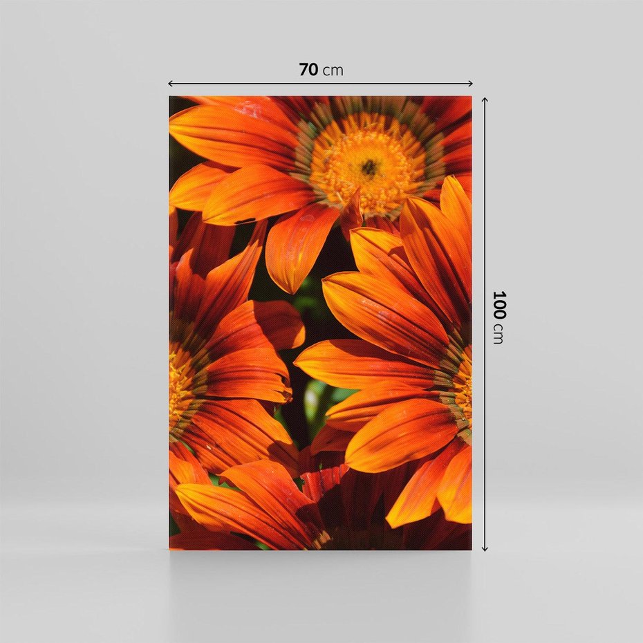 Obraz na płótnie 70x100 - Kwiatowa Esencja - kwiat, kwiaty