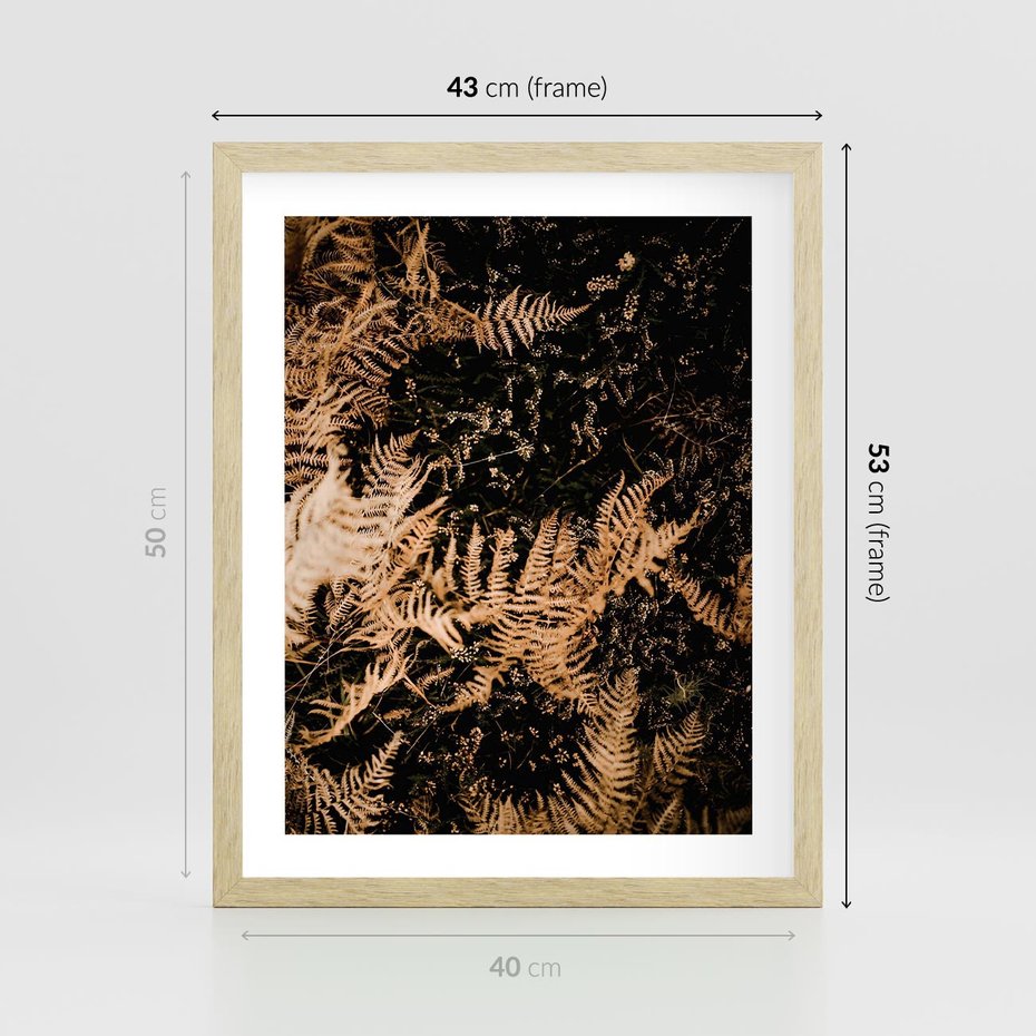 Plakat w ramie 40x50 - Jesienne Paprocie: Kolorowa Paleta Natury - paprocie, jesień - rama drewno