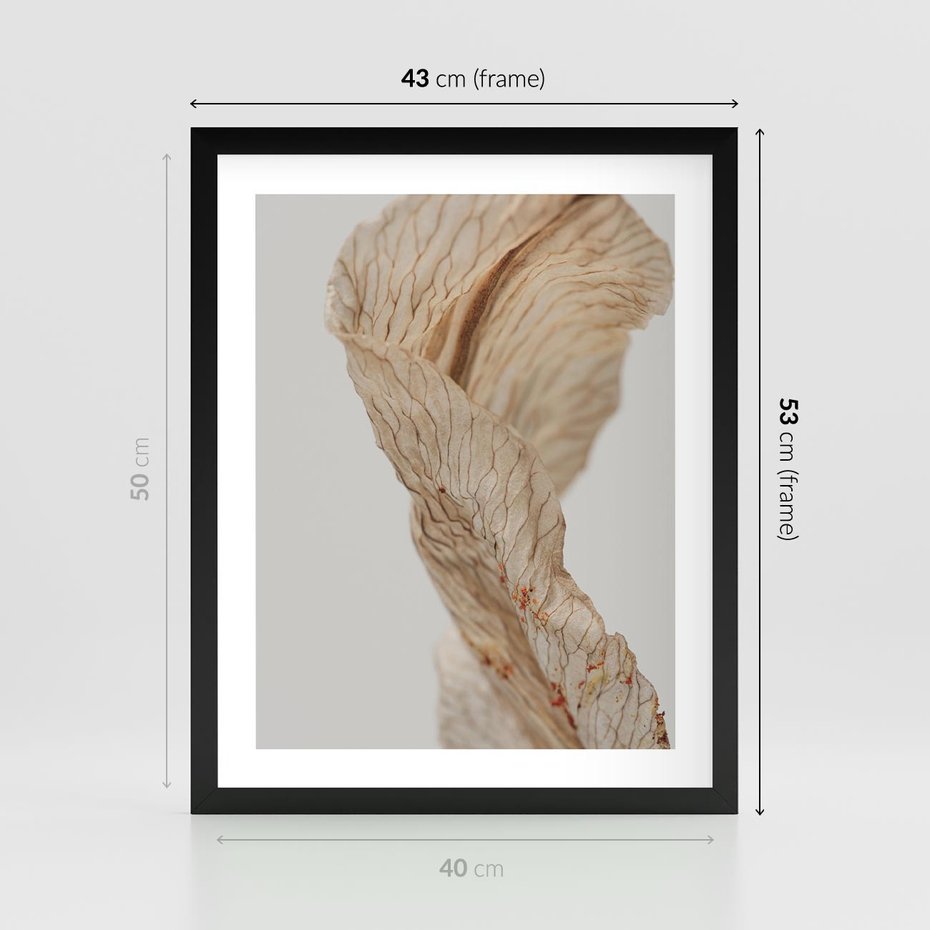 Plakat w ramie 40x50 - Suszone piękno - susz, suche - rama czarna