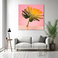 Obraz na płótnie 60x60 - Egzotyczna monstera - monstera, liść