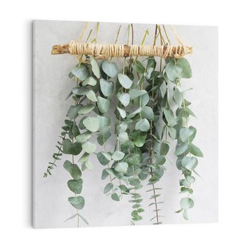 Obraz na płótnie 70x70 - Uwodzicielska zieleń eukaliptusa - eukaliptus, zielone