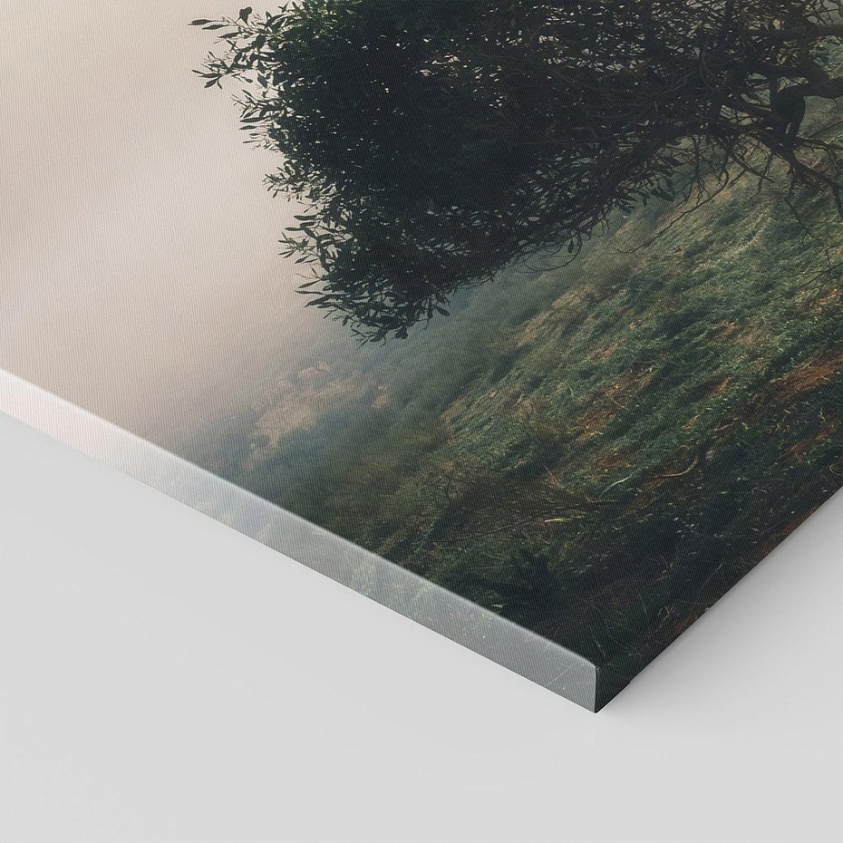 Obraz na płótnie 120x80 - Zamglona Prostota - artystyczna fotografia, samotne drzewo na zamglonej łące