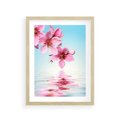 Plakat w ramie 30x40 - Magia kwitnącej wiśni - kwitnąca, wiśnia - rama drewno