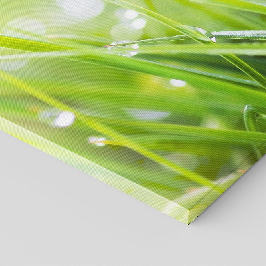 Obraz na płótnie 50x70 - Delikatna trawa pokryta rosą - trawa, rosa