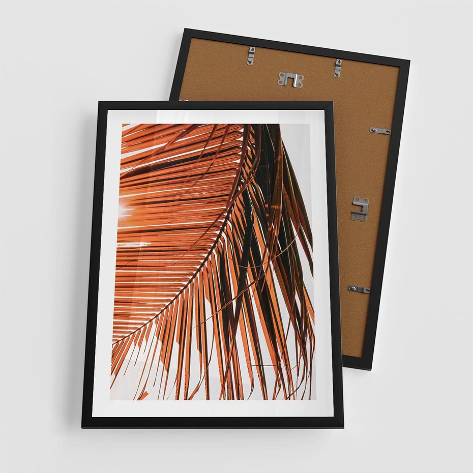 Plakat w ramie 50x70 - Słońce na Palmie - palma, promienie słońca - rama czarna