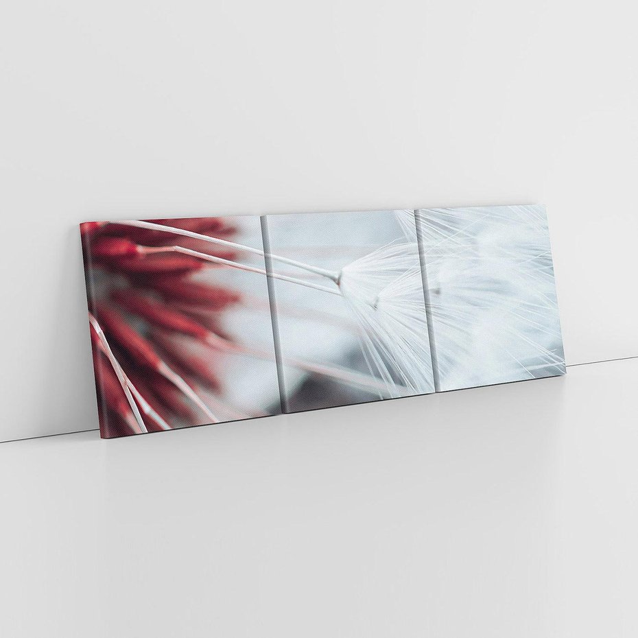 Obraz na płótnie 150x50 - Makro świat dmuchawca - dmuchawiec, makro