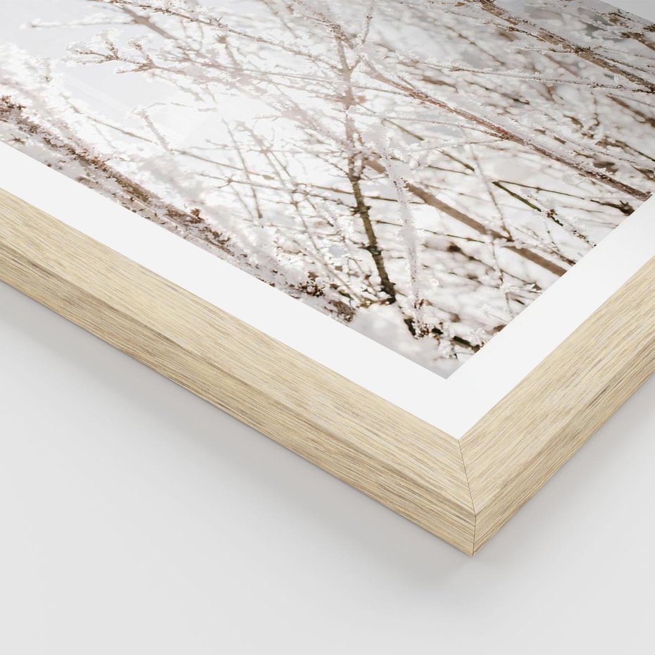 Plakat w ramie 30x40 - Szron na Gałęziach - ośnieżone gałązki, szron na gałęziach - rama drewno