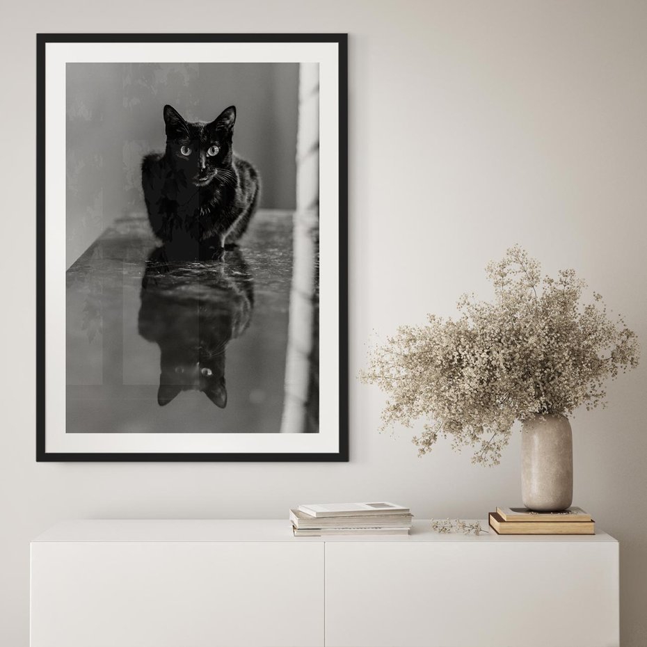Plakat w ramie 50x70 - Kocie Oczy - kot, czarno białe zdjęcie - rama czarna