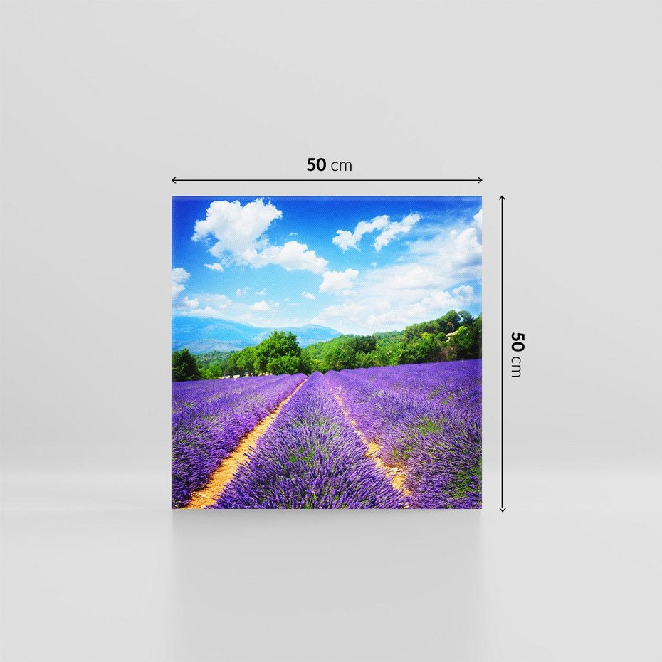 Obraz na płótnie 50x50 - Prowansalska Lawenda - lawenda, prowansja