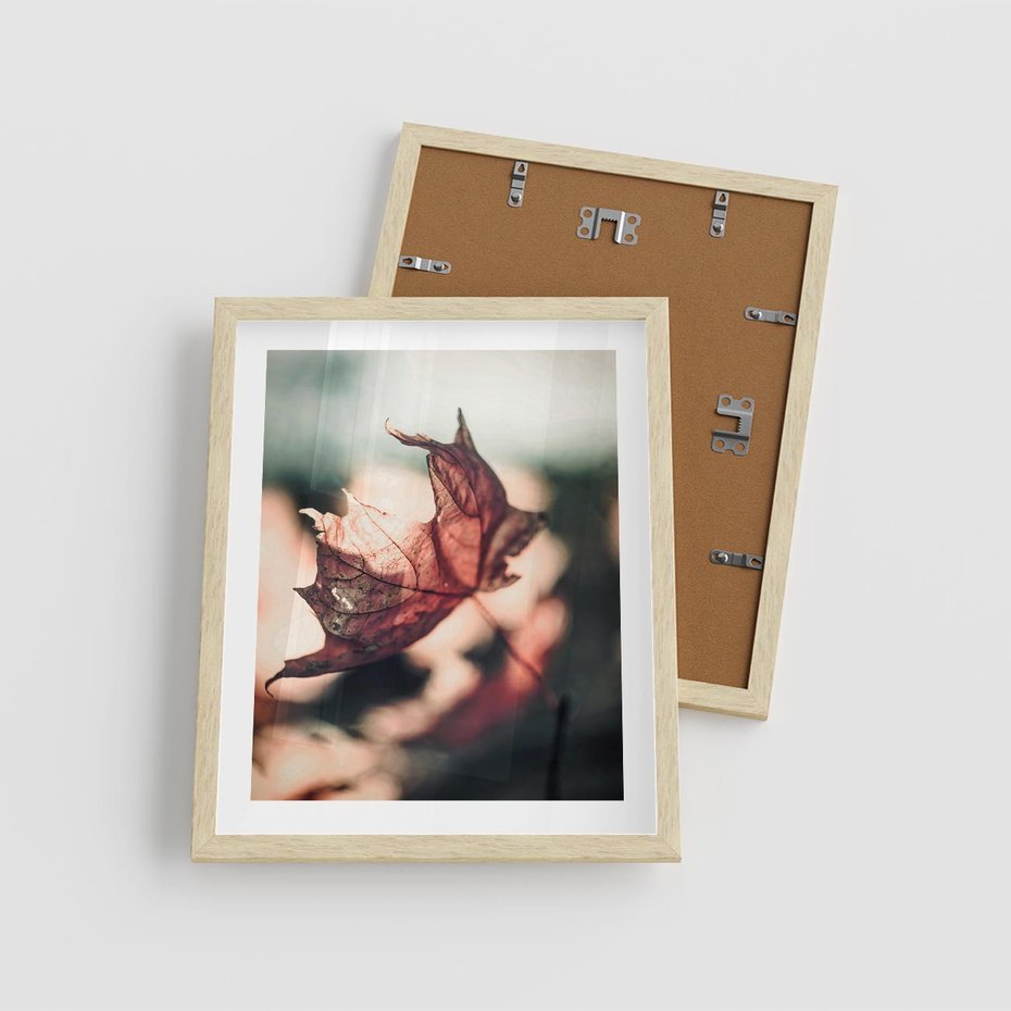 Plakat w ramie 40x50 - Liść w Jesieni - jesienny liść, czerwony - rama drewno