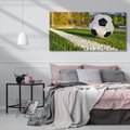 Obraz na płótnie 120x60 - Pasja na Boisku: Piłka Nożna - boisko, piłka