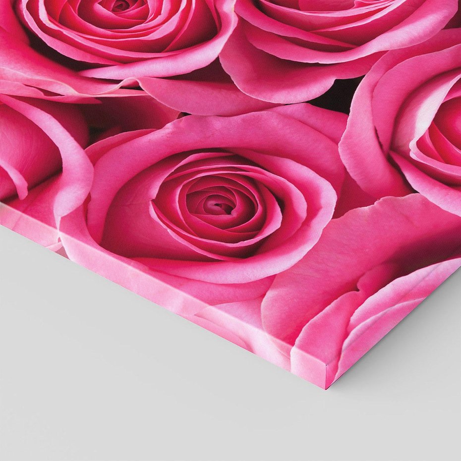 Obraz na płótnie 60x60 - Romantyczne róże w pełnym rozkwicie - róże, kwiaty