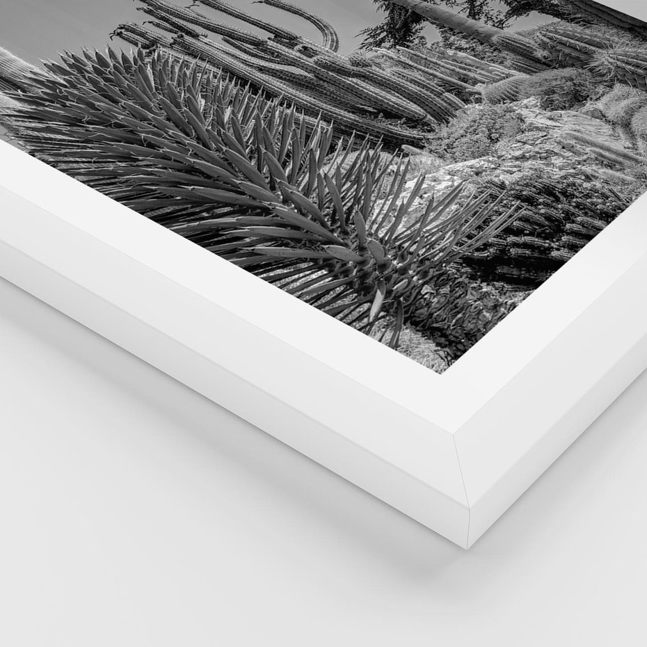 Plakat w ramie 50x70 - Pustynny Klimat - czarno białe zdjecie, pustynia - rama biała