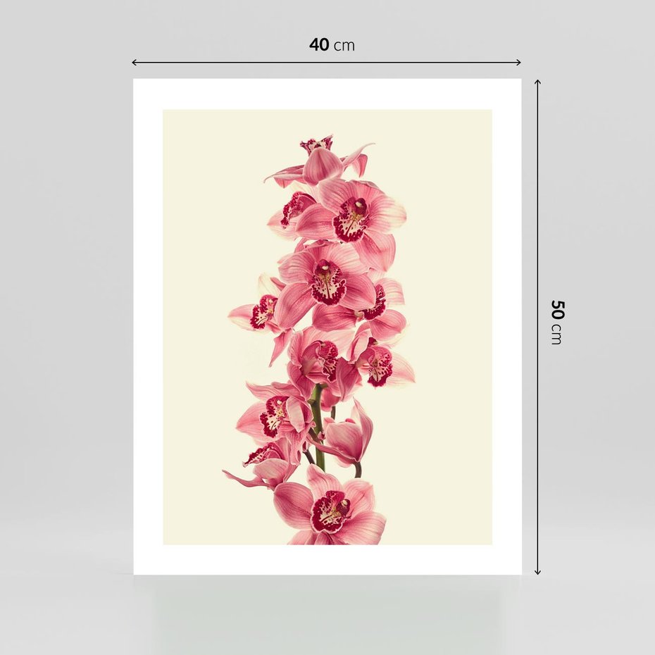 Plakat bez ramy 40x50 - Orchidea w spa - relaks - orchidea, spa