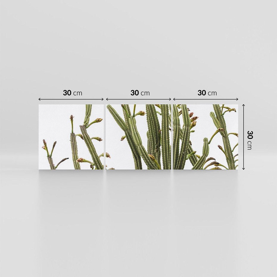 Obraz na płótnie 90x30 - Ekskluzywna Roślinność - kaktusy, liście