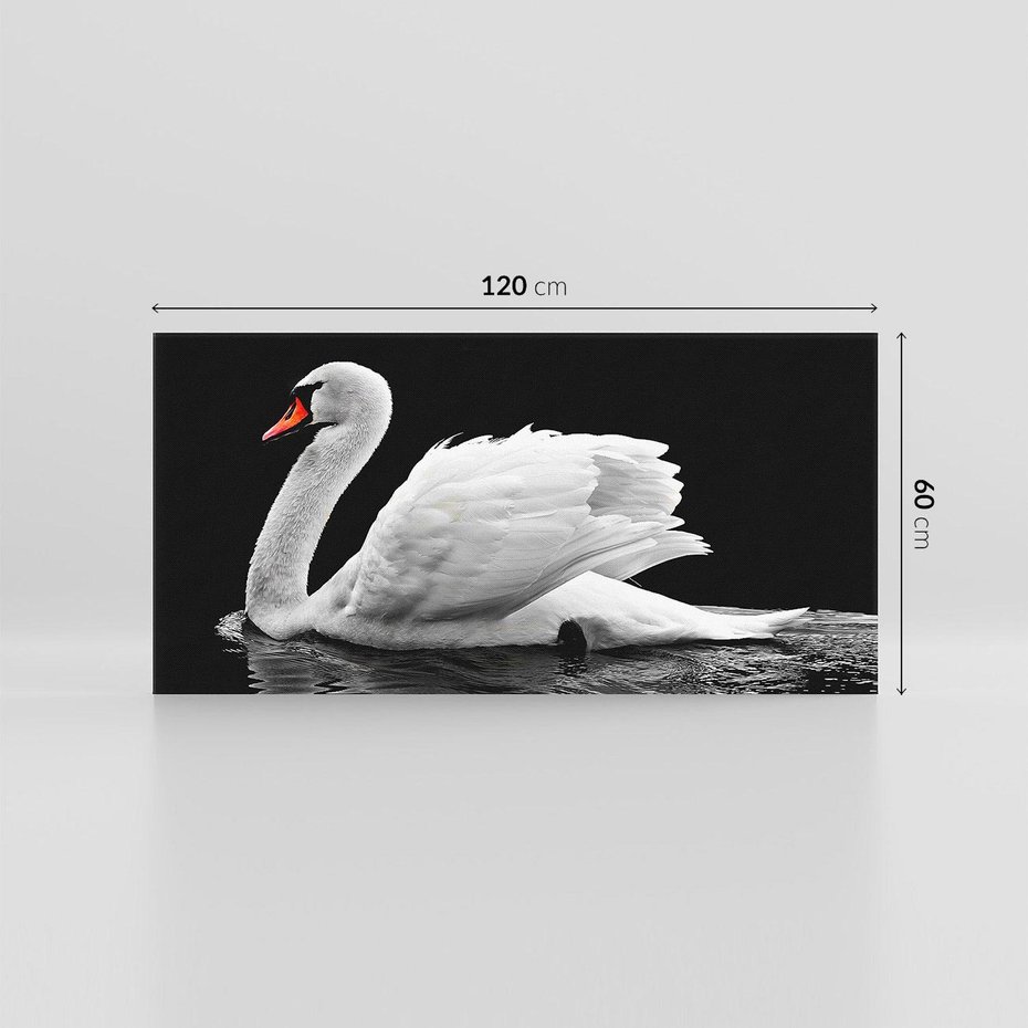 Obraz na płótnie 120x60 - Delikatne Uderzenie Skrzydeł Łabędzia - łabędź, ptak